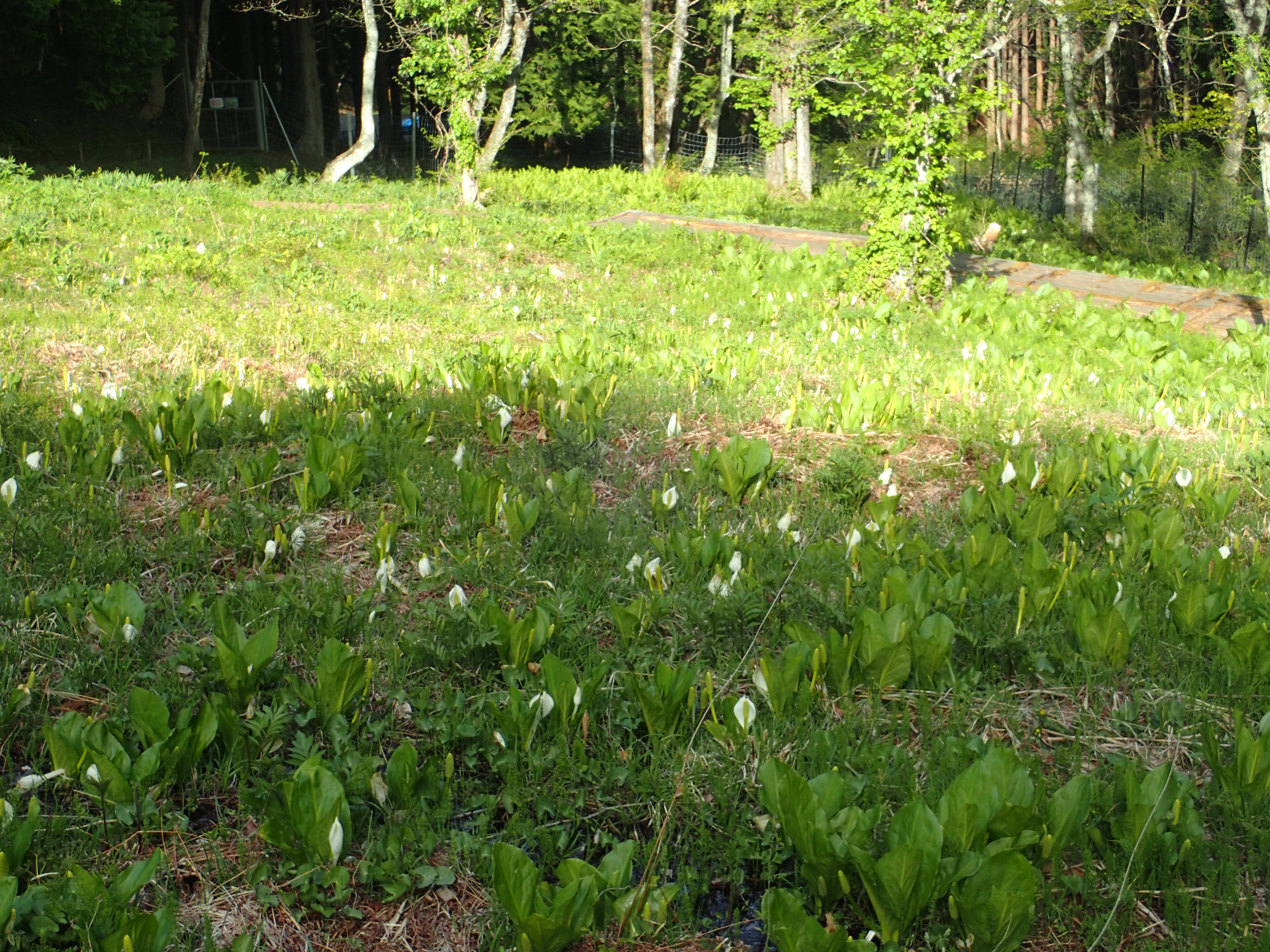 05.07